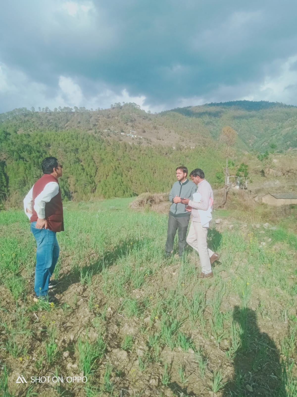 डिजिटल क्रॉप सर्वे को मिली गति, उपजिलाधिकारी ने रौता गांव में खेतों पर पहुंचकर किया स्थलीय निरीक्षण