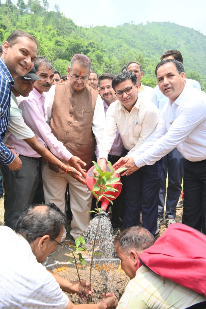लोकपर्व हरेला पर टिहरी के परोगी गांव में कृषि मंत्री गणेश जोशी ने किया वृक्षारोपण, पर्यावरण संरक्षण का दिलाया संकल्प
