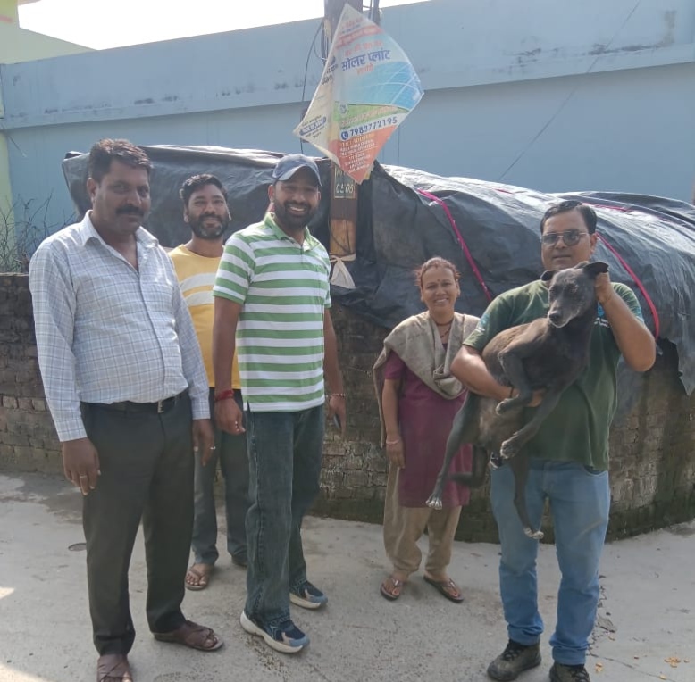 मुनिकीरेती-ढालवाला में निराश्रित श्वानों के बंध्याकरण एवं एंटी-रेबीज टीकाकरण अभियान की शुरुआत